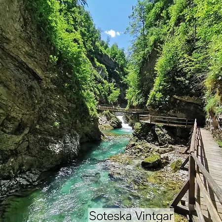 Alpine House Mina - & 招待所