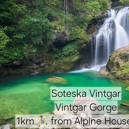 Alpine House Mina - & Guest house