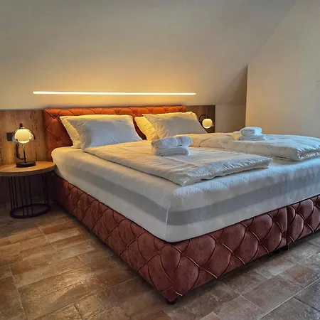 Guest house Alpine House Mina - &