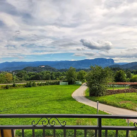 Guest house Alpine House Mina - & 3*